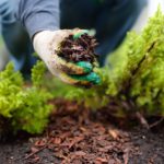 10 Landscaping Tips to Increase Home Value in 2021