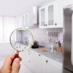 Portland Home Inspection vs. Home Appraisal