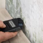 Person Hand Testing The Moldy Wall