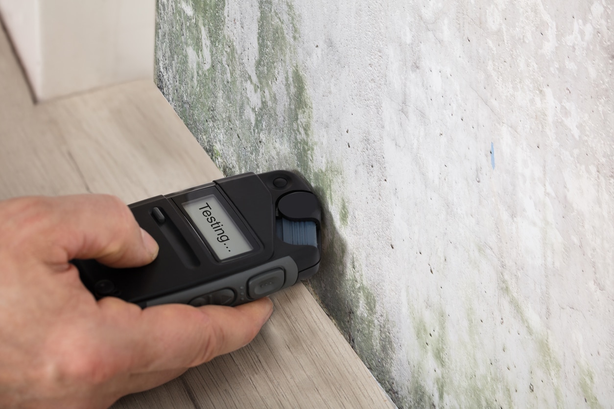 How to Test your Home for Mold: 2021 Update : Real Estate Agent PDX